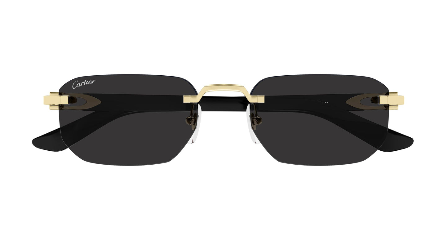 Cartier CT0622S Sunglasses