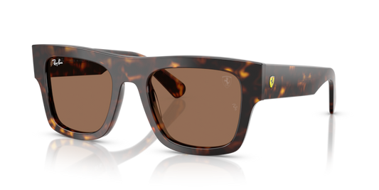 Ray-Ban RB2217M Sunglasses