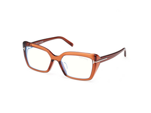048 - Shiny Dark Brown Clear Lenses