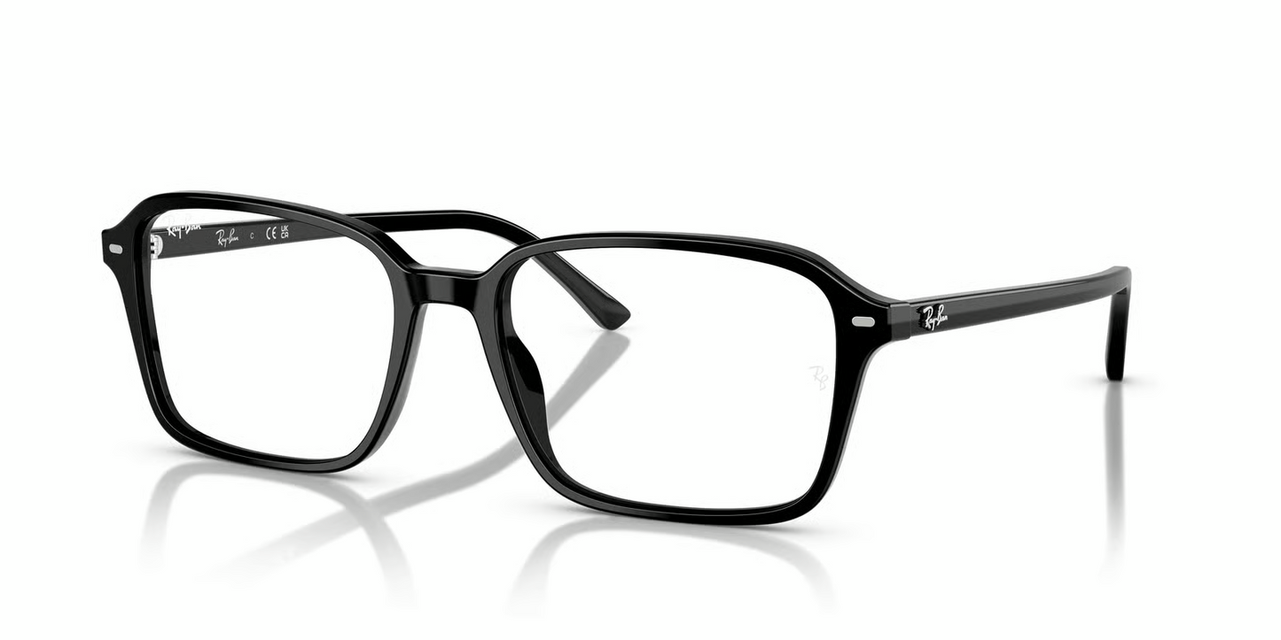 Ray-Ban RB2231 Raimond Sunglasses