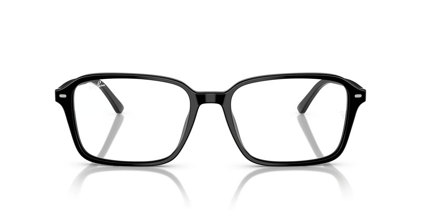 Ray-Ban RB2231 Raimond Sunglasses
