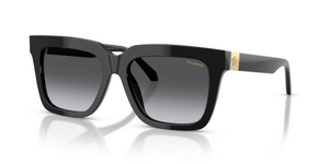 GB1/T3 - Black with Polarized Dark Grey Gradient Lenses