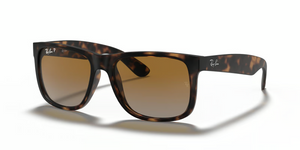865/T5 - Havana with Polarized Brown/Grey Lenses